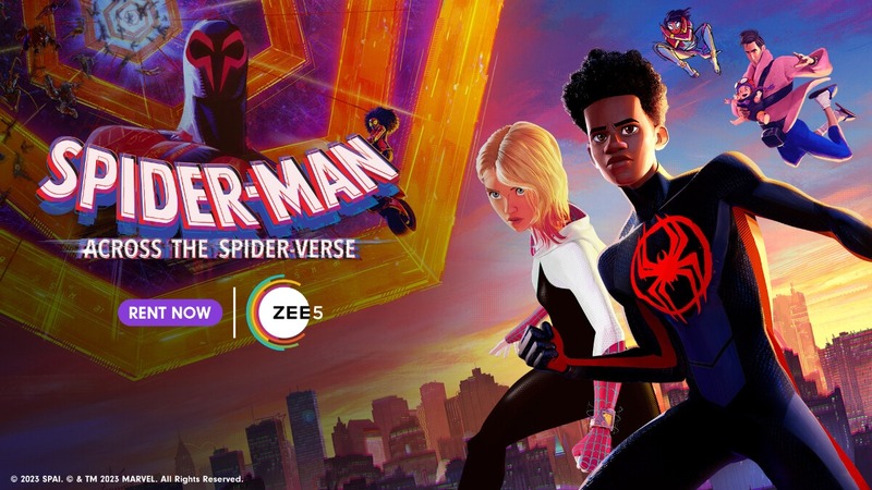 Spider Man Across the Spider Verse